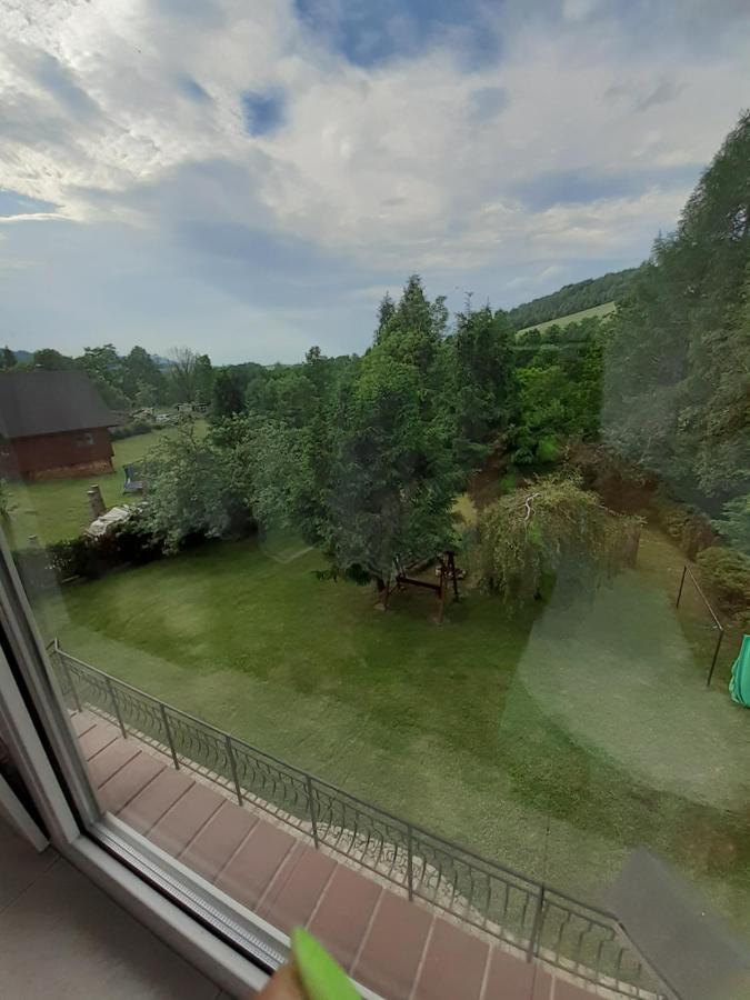 Bed and Breakfast Pod akacjami Baligród Zewnętrze zdjęcie